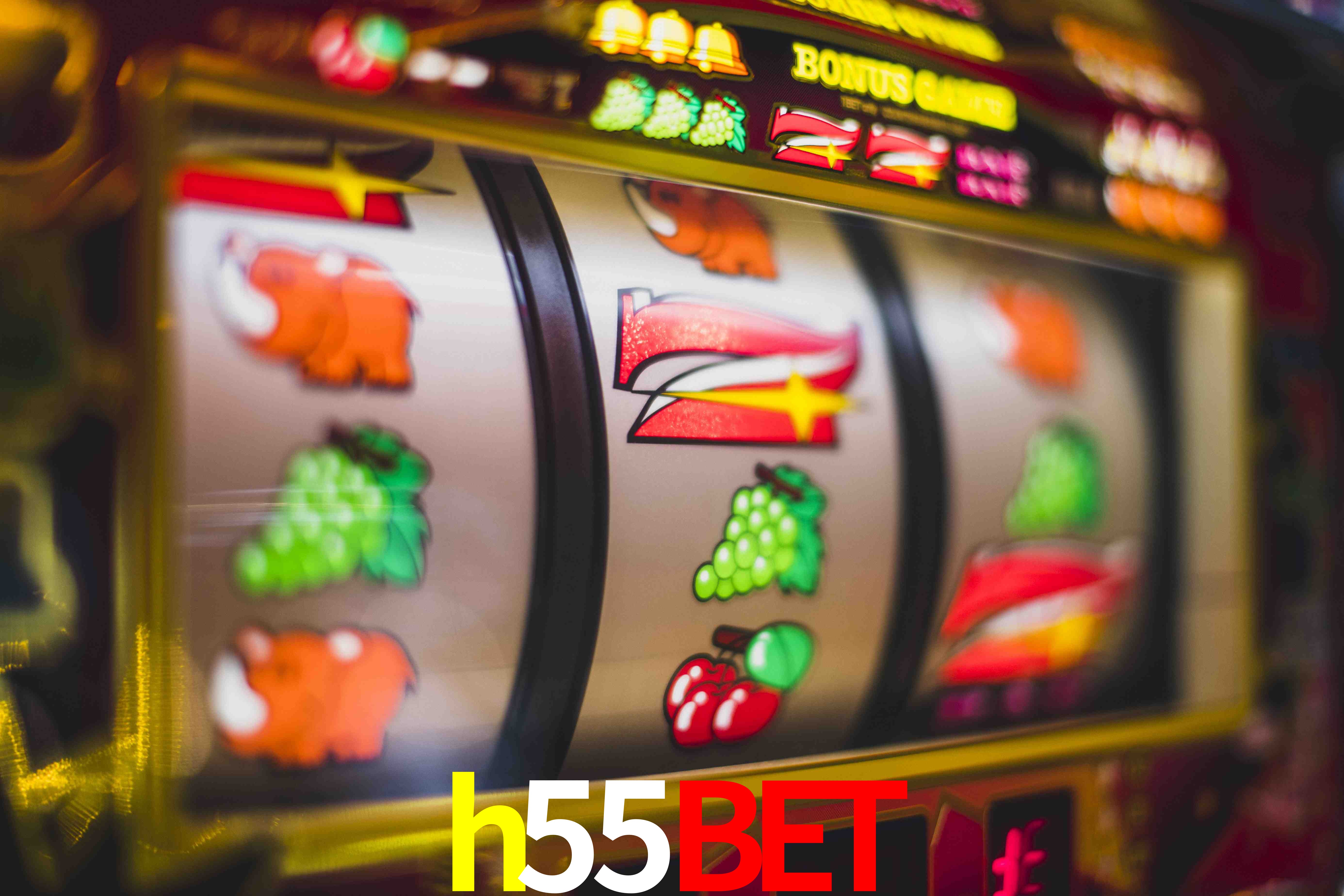 Statistics h55bet